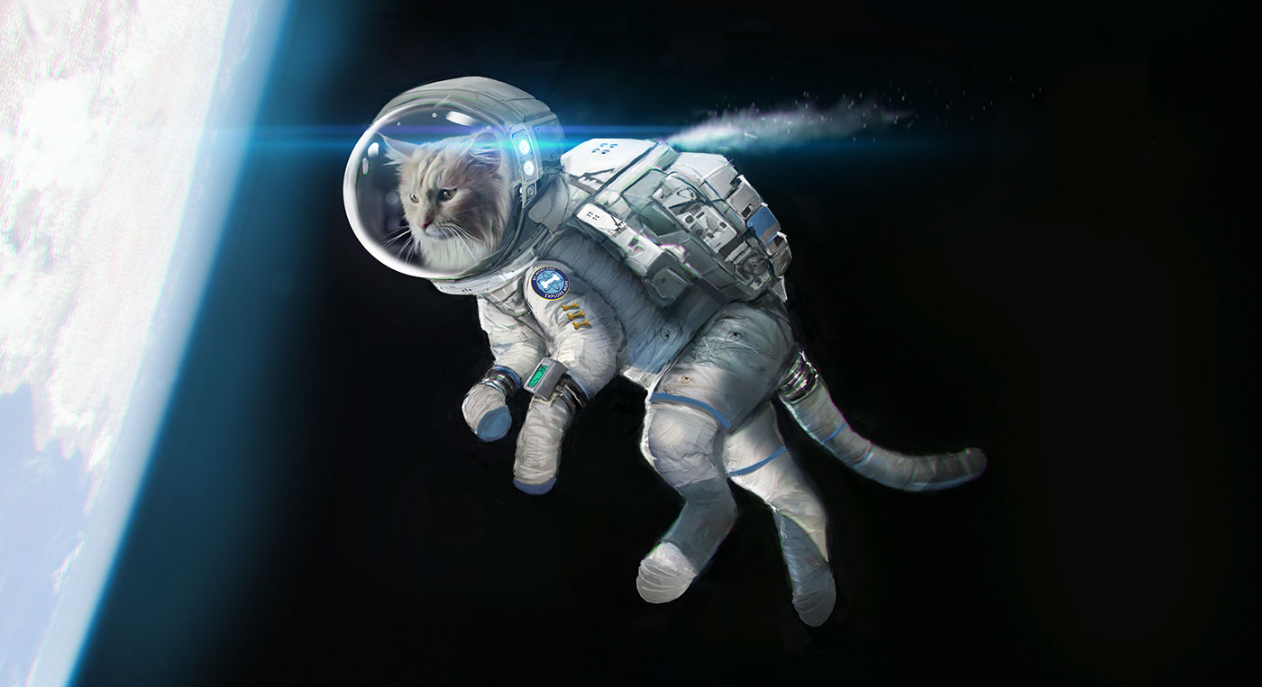 art directing Art Director director vfx animation space  futuristic Cat Be More Dog BMD o2 advert tv CGI SIM