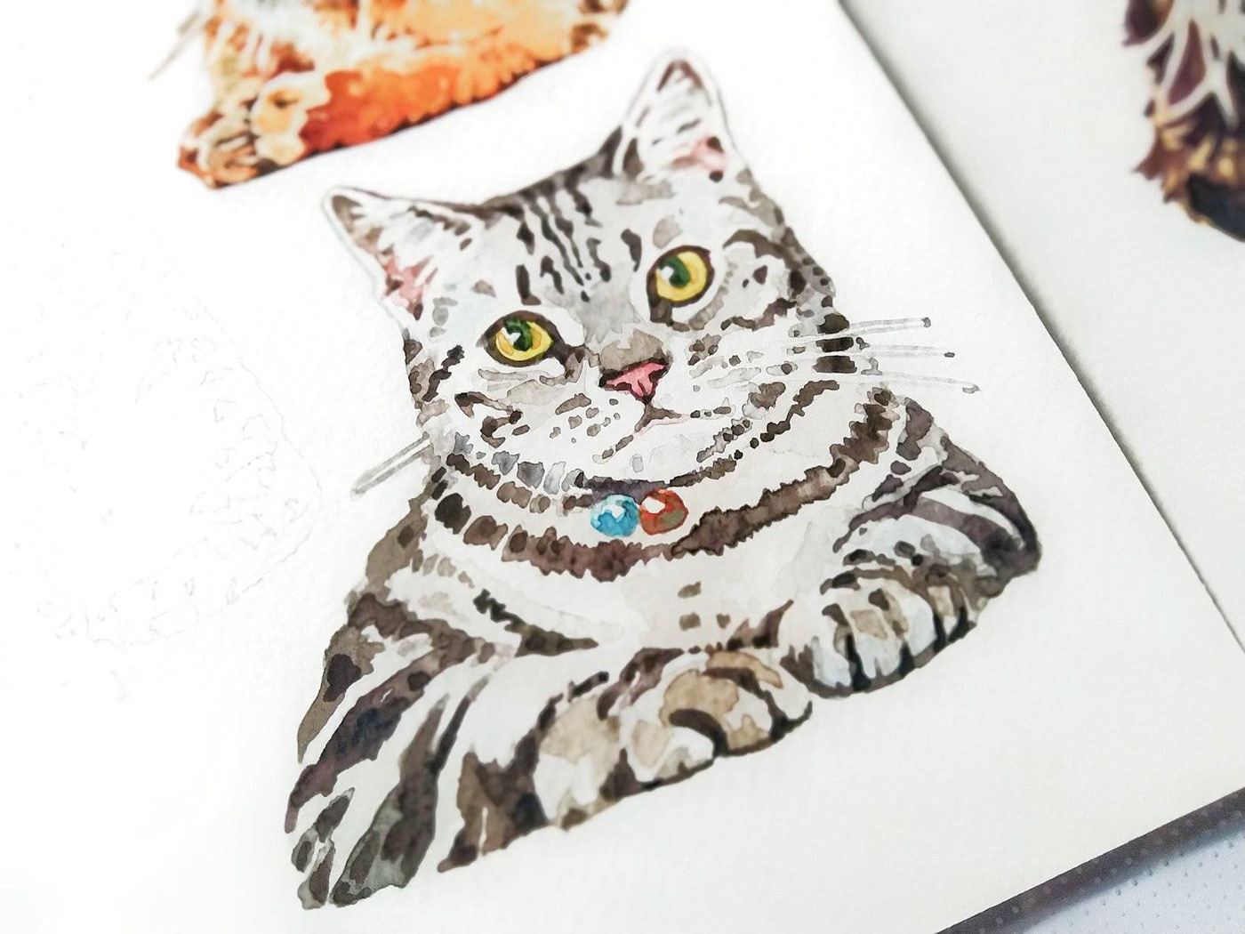 animal Cat ILLUSTRATION  watercolour