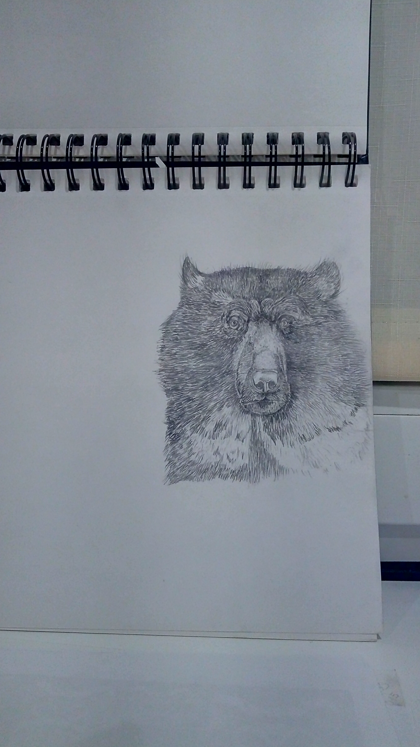 медведь карандаш bear ilist #рисунок