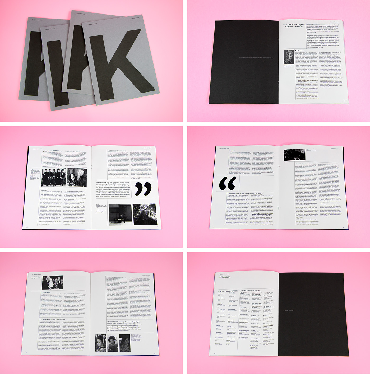 graphic design  typography   editorial design  print Booklet literature Layout