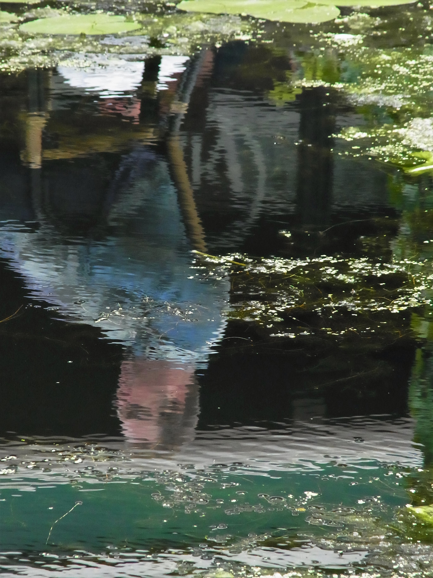 beauty delft Netherlands photographer Photography  reflectionphotography reflections Travel water waterreflection