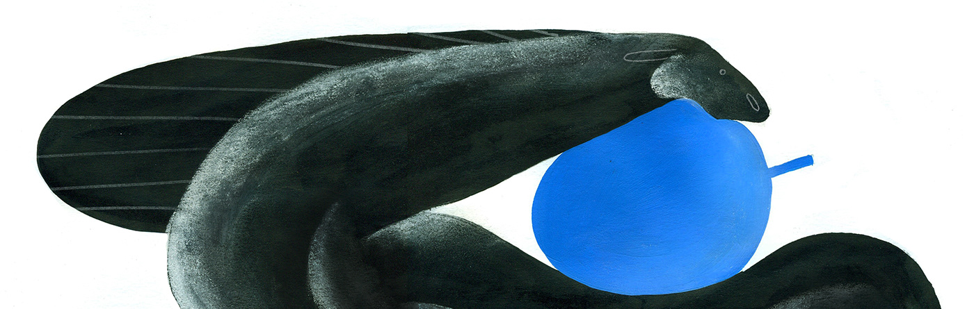 poster horse apple graphic ILLUSTRATION  art blue black иллюстрация design