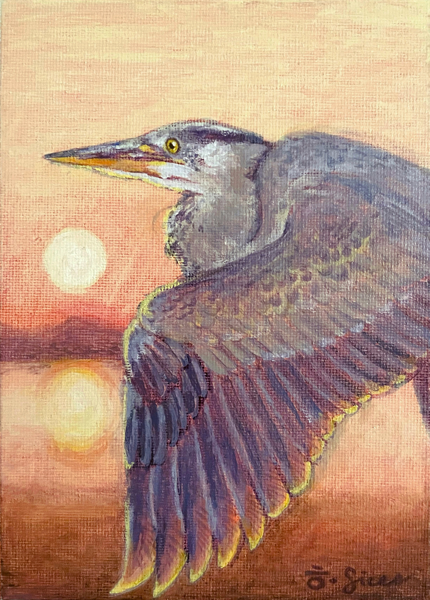 Great Blue Heron blue heron heron bird animal Nature Sunrise sunset flight portrait acrylic acrylic on canvas canvas panel