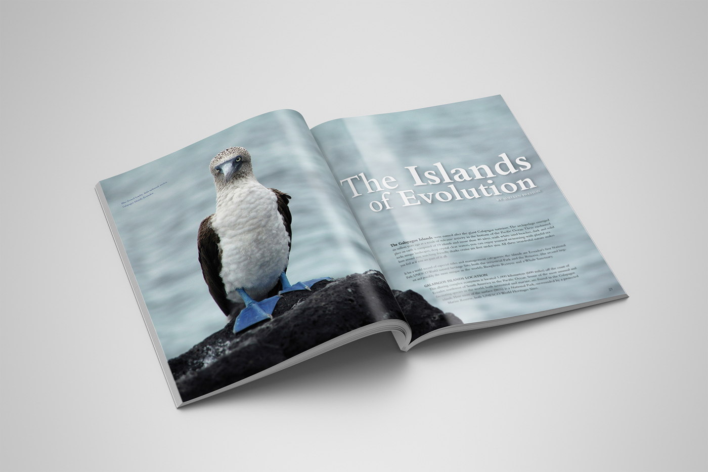 branding  ecotourism graphic design  Layout Design logo magazine page layout