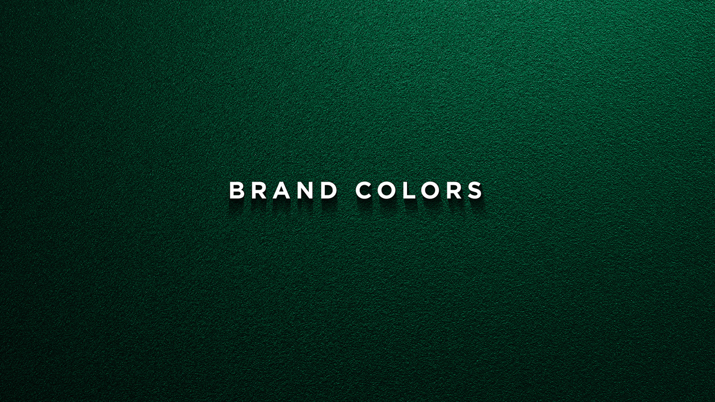 brand Brand Design brand identity Corporate Identity logofolio Logotype vector dubai UAE UAE National Day