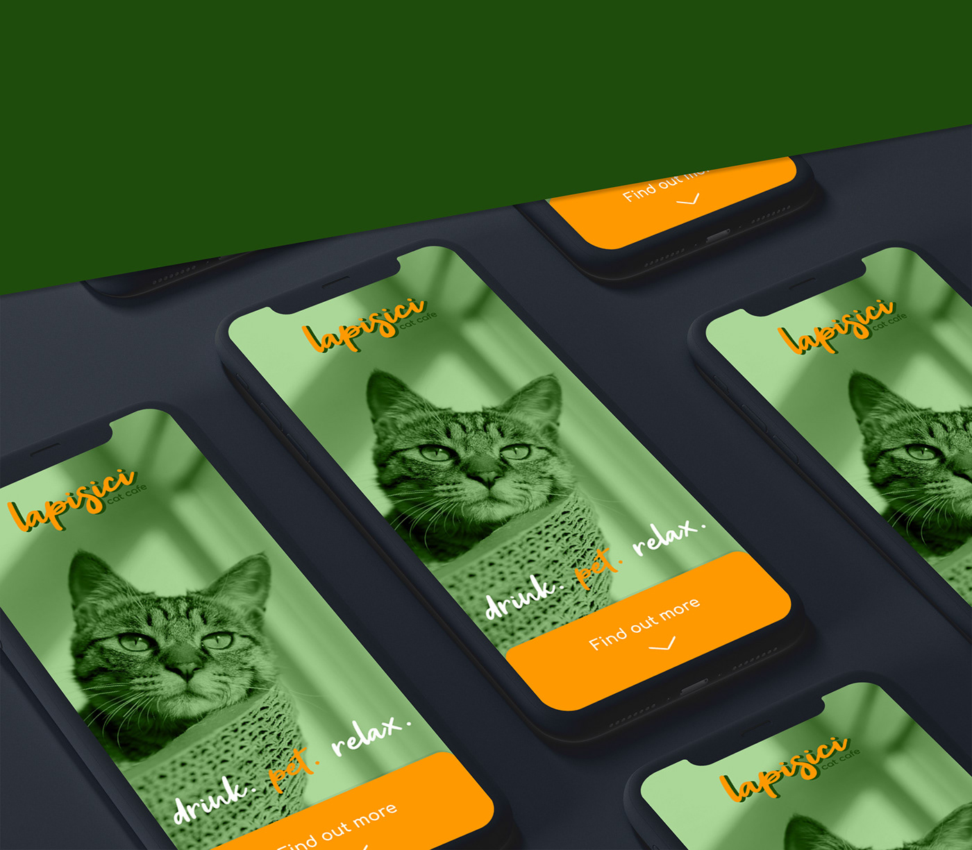 La Pisici cat  cafe  visual identity and web  page mock up on 