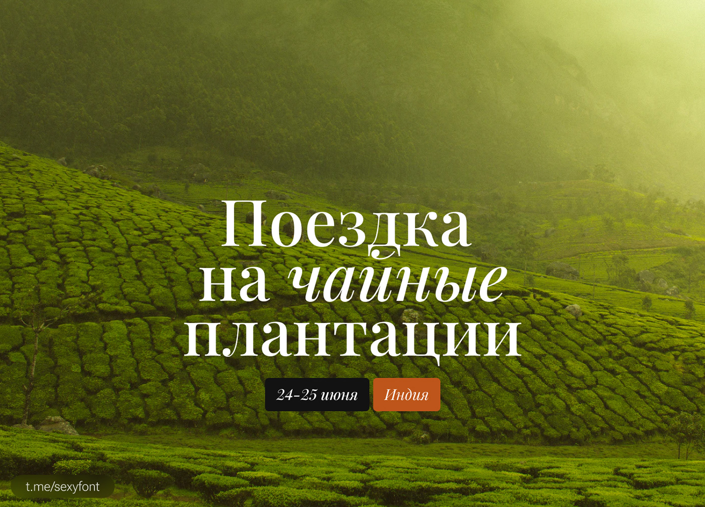 text font presentation Cyrillic font кириллица Шрифты fonts Typeface free