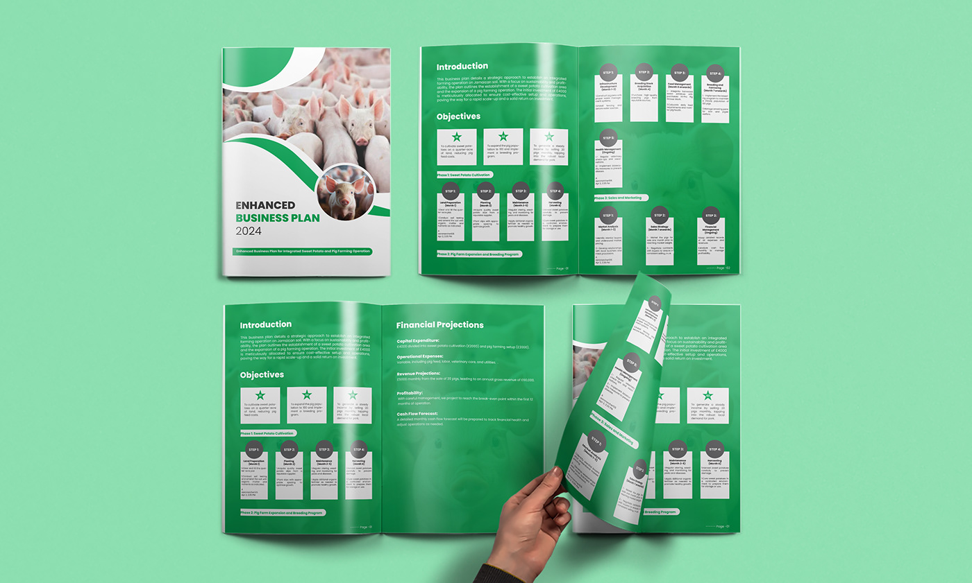 company profile annual report Booklet whitepaper whitepaper design proposal design business brochure Business Proposal pdf brochure ENHANCED BUSINESS PLAN