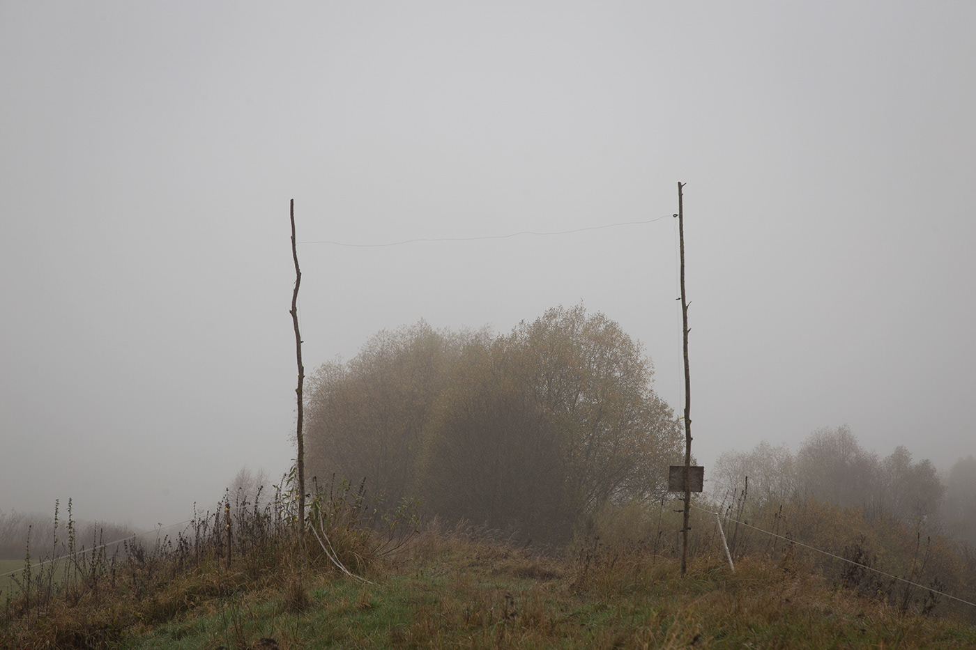 lietuva lithuania Mindaugas Buivydas Landscape Nature fog mist Tree  trees autumn