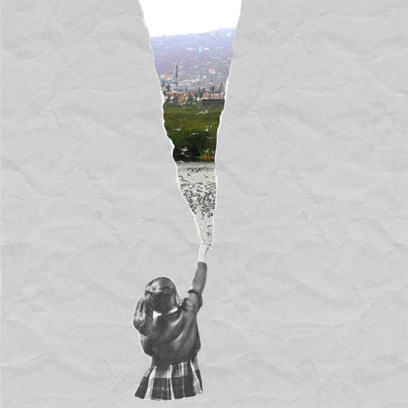 collage art collage artwork collage digital concept art Digital Collage nature collage pantanos de villa wetlands