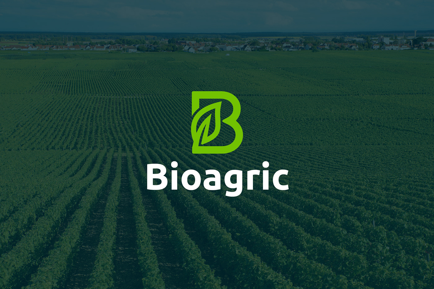 logo Logo Design logo designer agriculture logo leaf logo letter b logo Case Study brand identity agro farm logo Bioagric logo