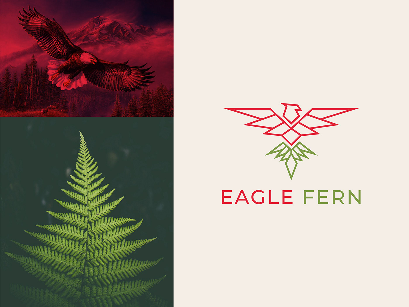 design eagle fern eagle logo fern logo flat logo minimal logo minimalist vector