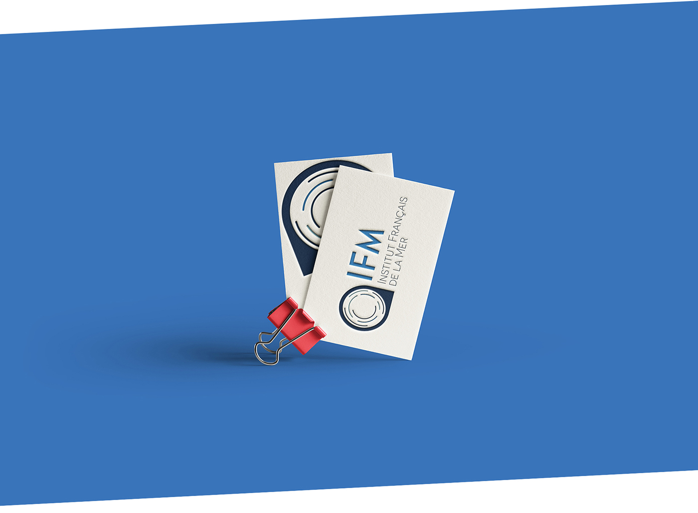 ifm métiers mer identité Web bleu sea logo brochure