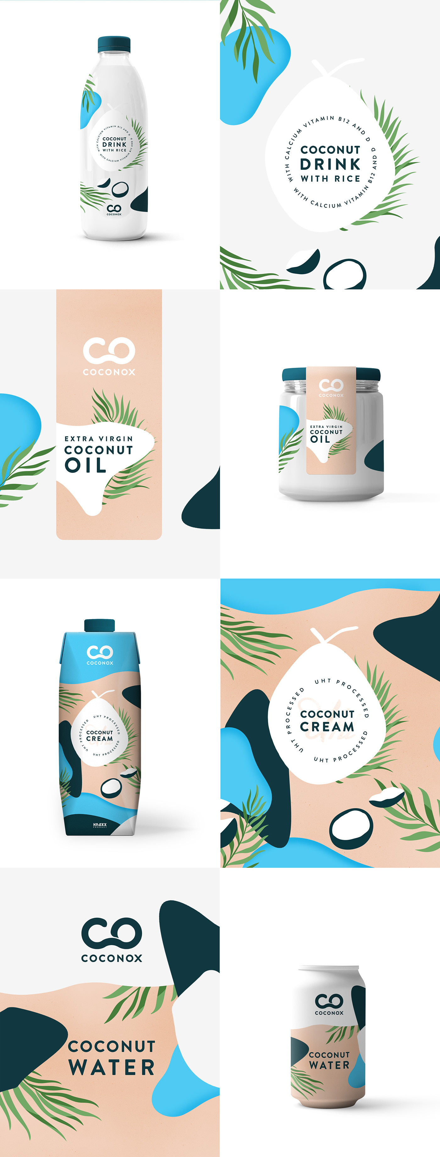 branding  Packaging Coconut illustrations clean flat minimal coconut water Coconut Milk coconut oil