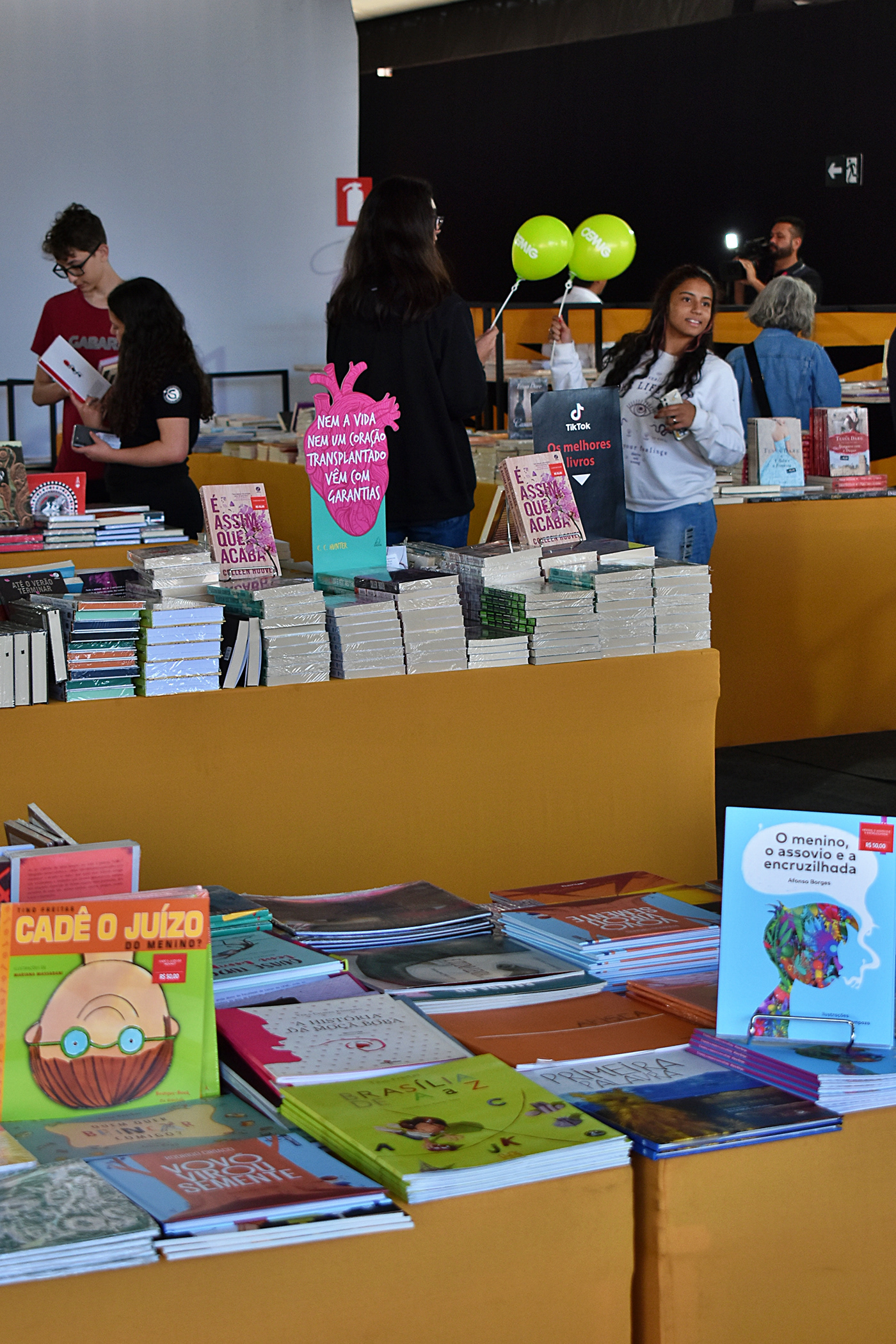 books editorial publishing   Layout minas gerais joaomarcosbh festival Event