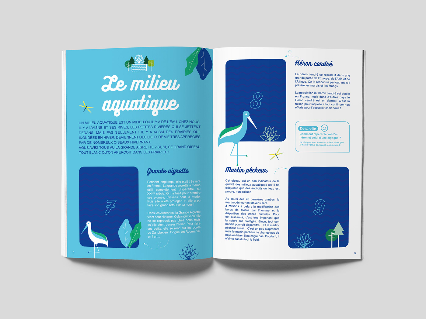 brochure communication création graphique graphisme ILLUSTRATION  Jeunesse Nature print