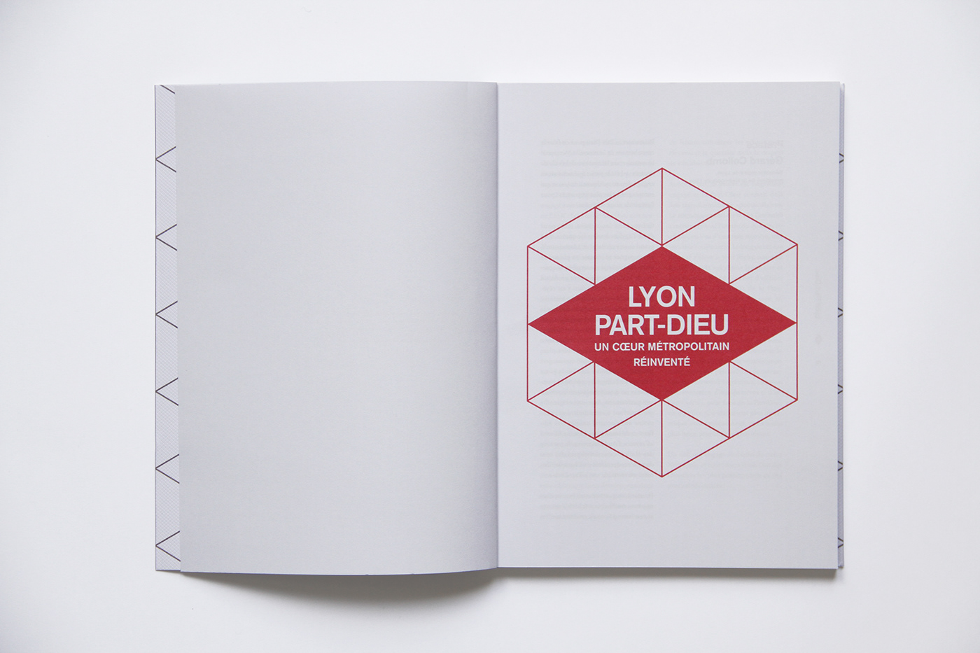 livre edition mise en page direction artistique Layout print design graphique design editorial graphisme