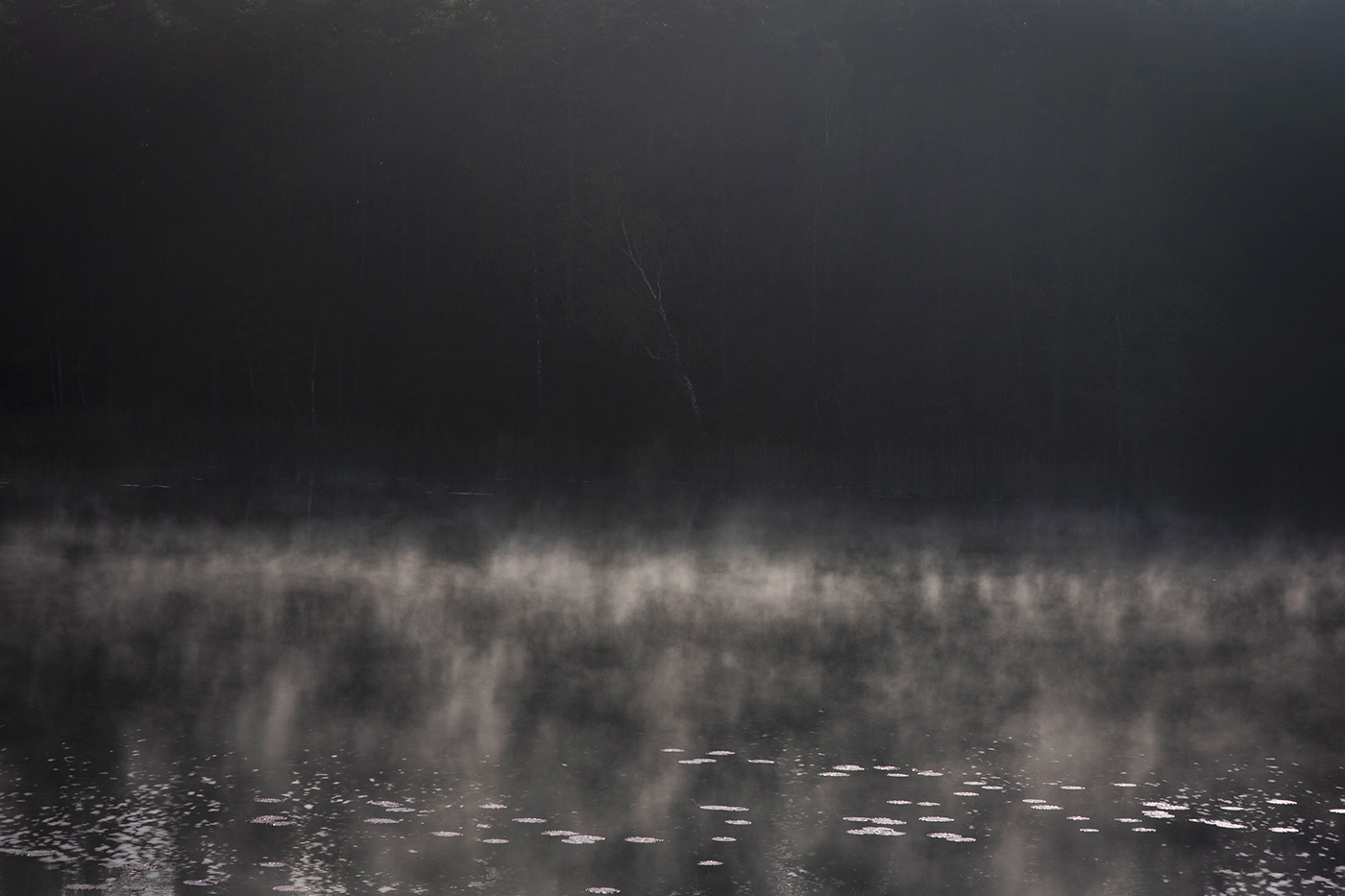 fog Landscape lietuva lithuania Mindaugas Buivydas mist MORNING Nature Photography 