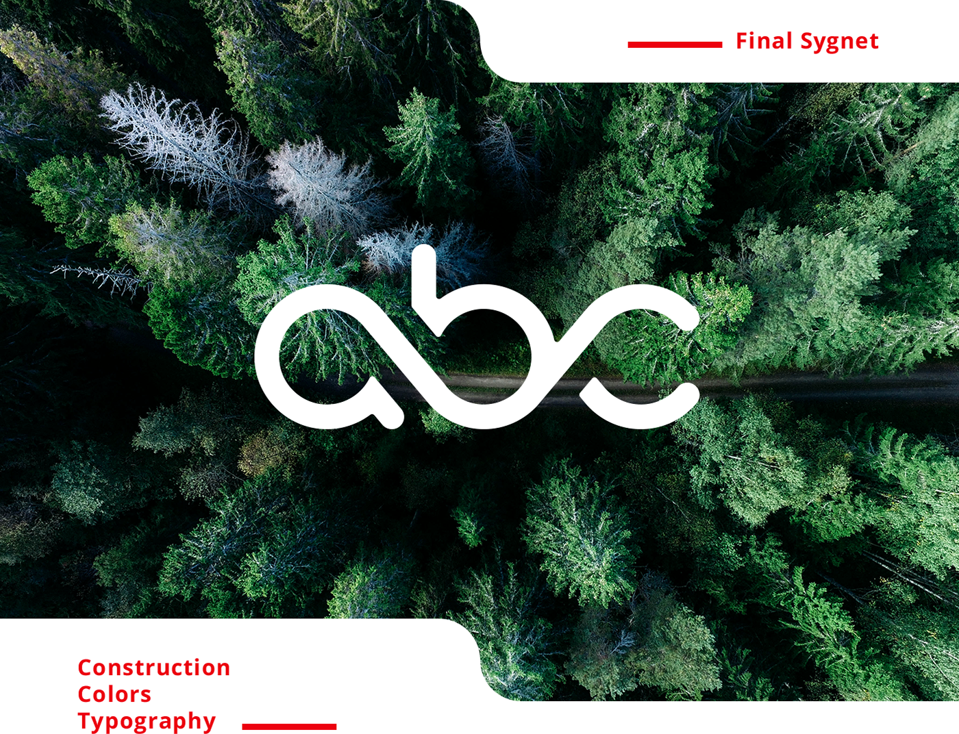 branding  Website animation  rebranding logo Logotype brand