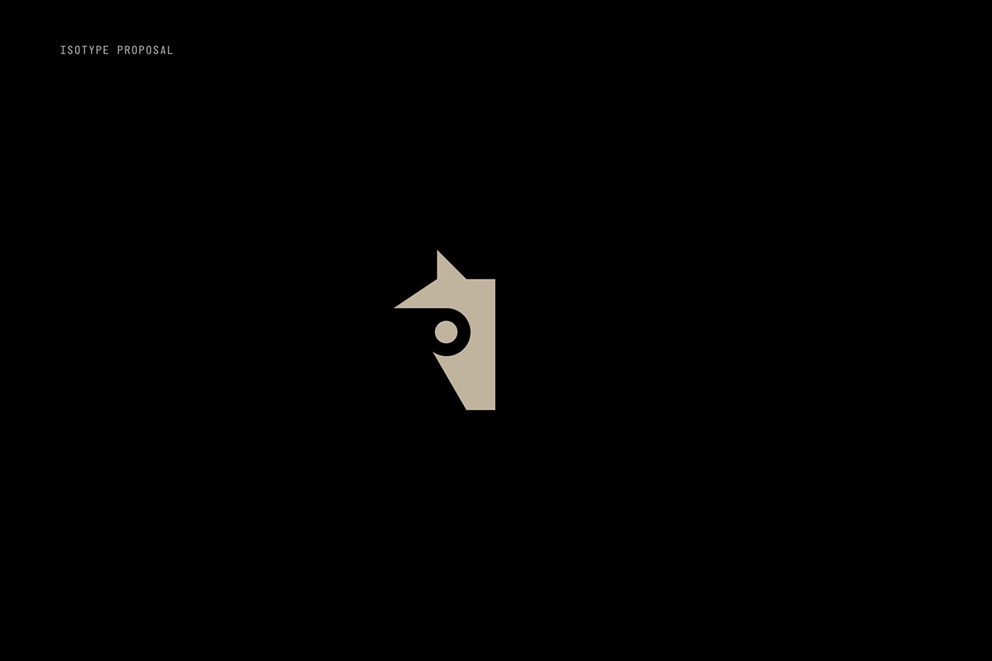 cinematography festival Film   identity mexico monterrey Rebrand typography   branding  logo