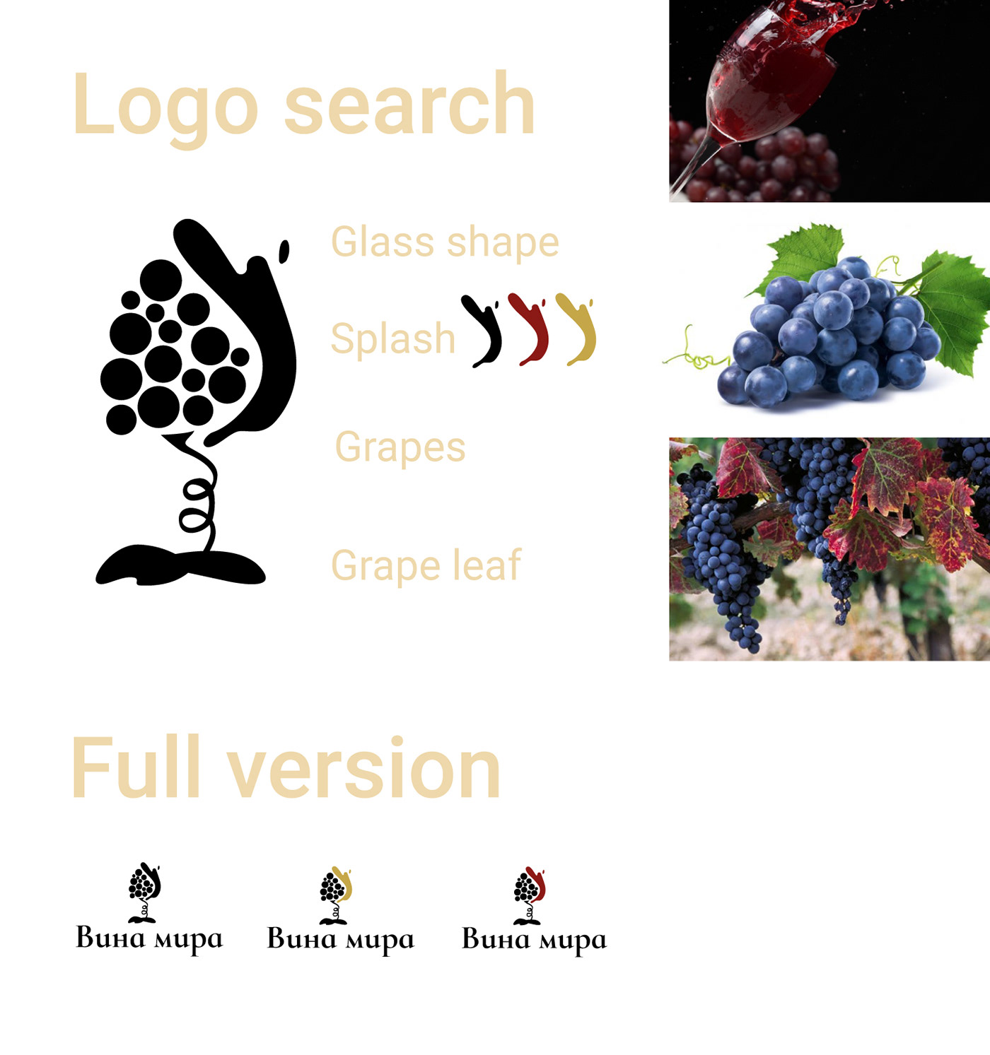 brand branding  Business Cards concept grap logo shop vector wine