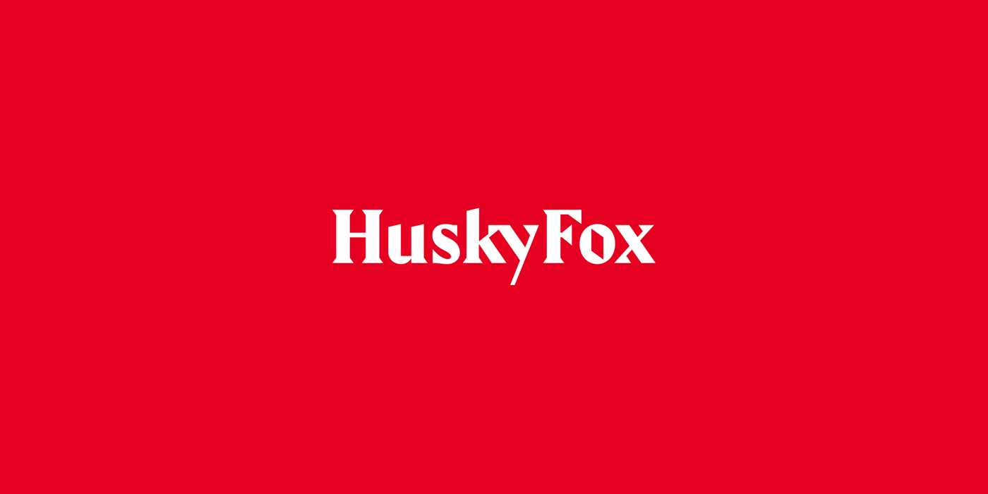 huskyfox brand identity design animal Icon CI BI branding  Stationery graphic