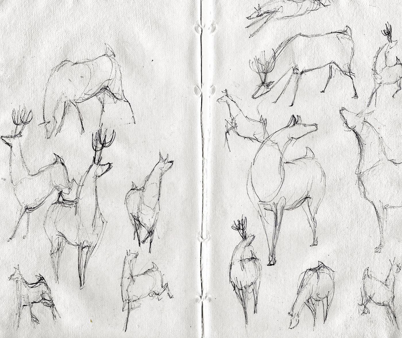 Figure Drawing sketching Character design  Creature studies interior studies