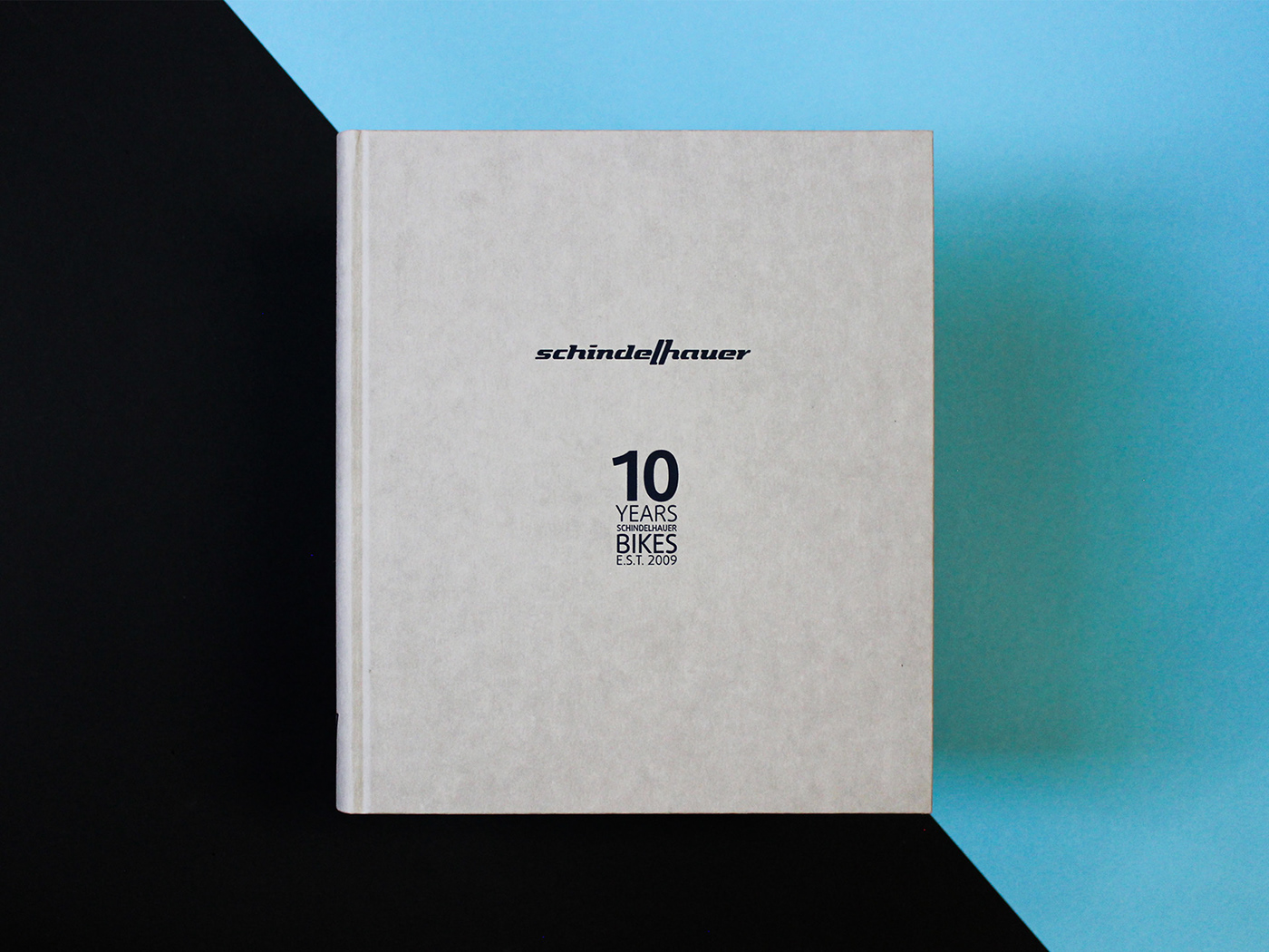 editorial design  design graphic design  print design  books book design brandbook anniversary book Year Book designer