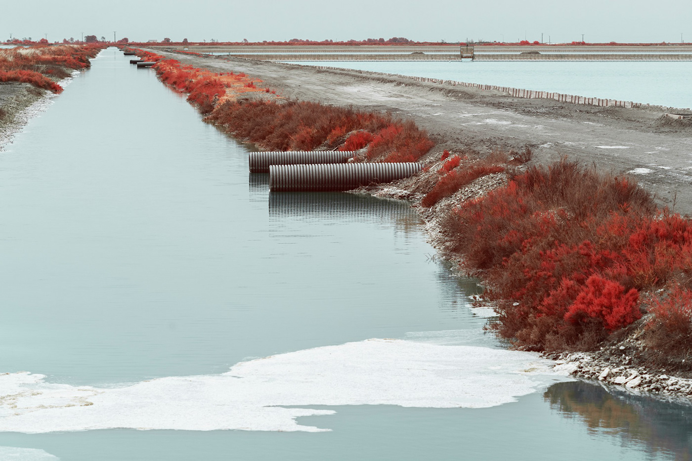 Aerochrome france heritage infrared infrared photography Landscape Nature salt marsh Travel