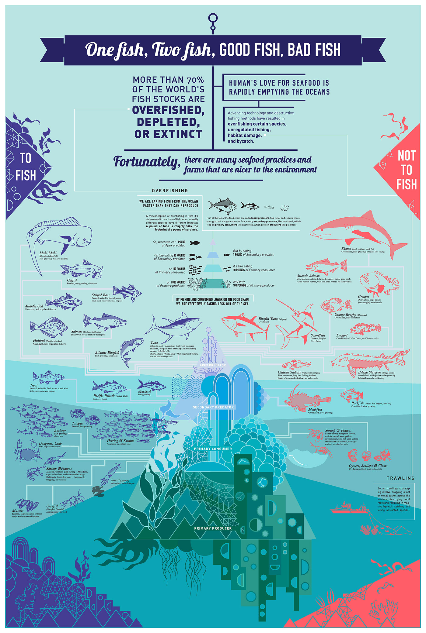 infographics seafood Sustainable environmental poster ILLUSTRATION 
