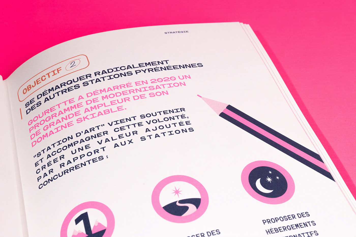 editorial art direction  fluo neon book magazine brochure mountains pink livre