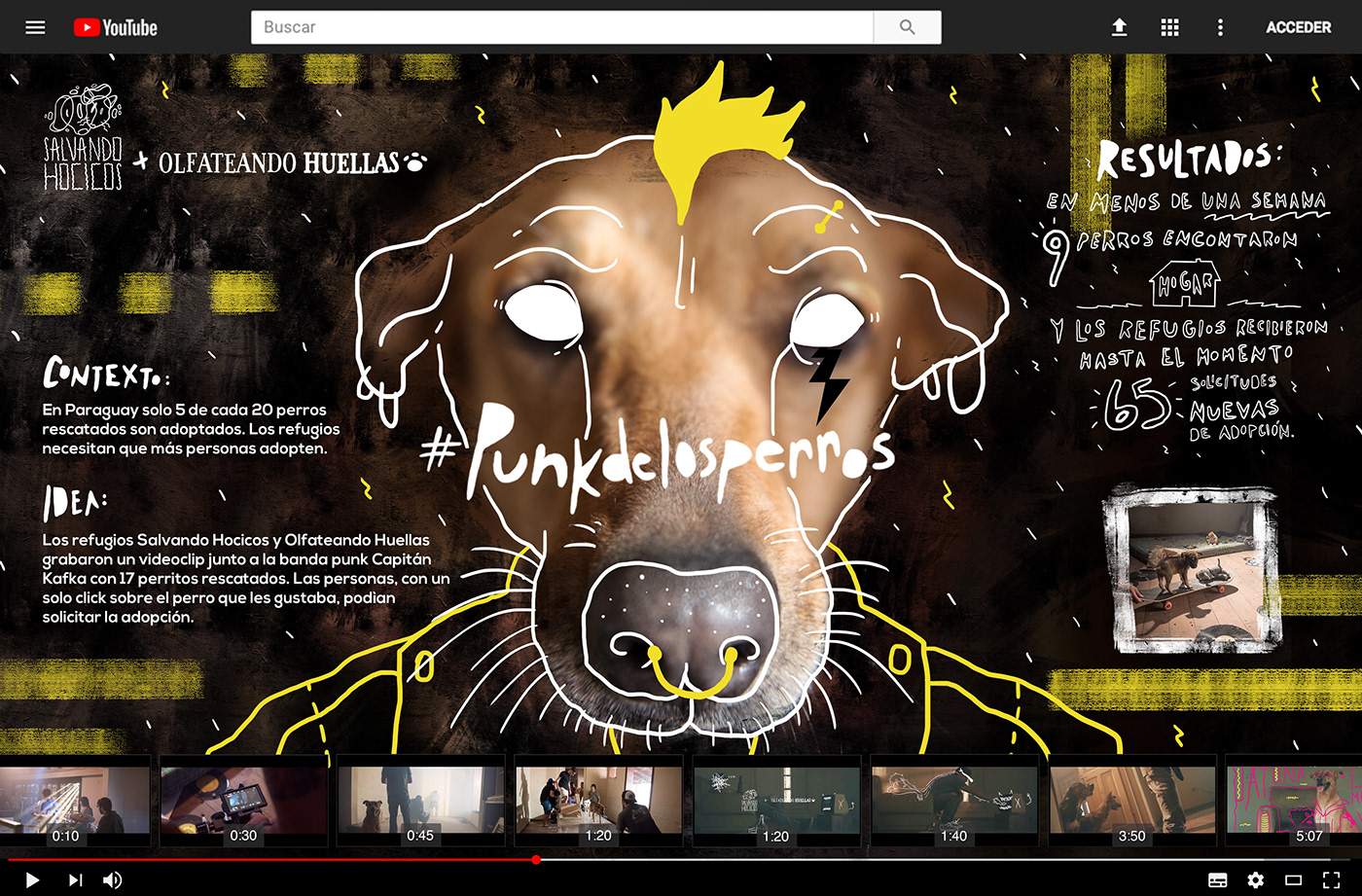 Videoclip music dogs dog punk adopción adoption perros musica refugio