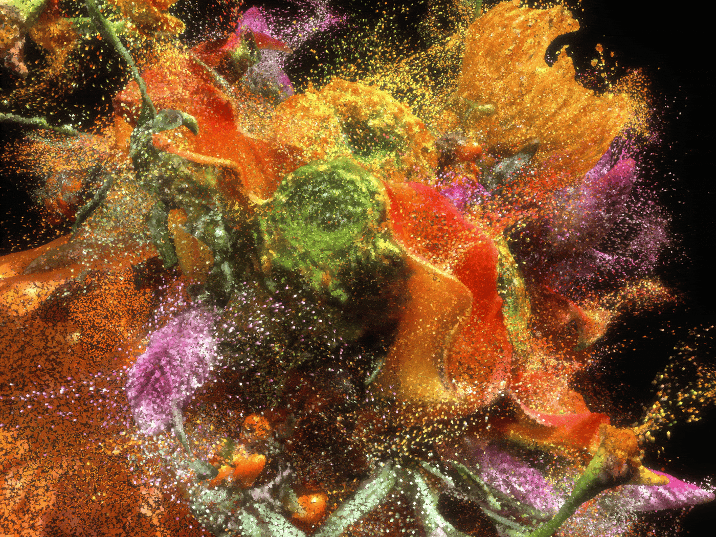 flower Nature Plant TouchDesigner 3D Digital Art  caoyuxi Pollen Pixels Scaniverse