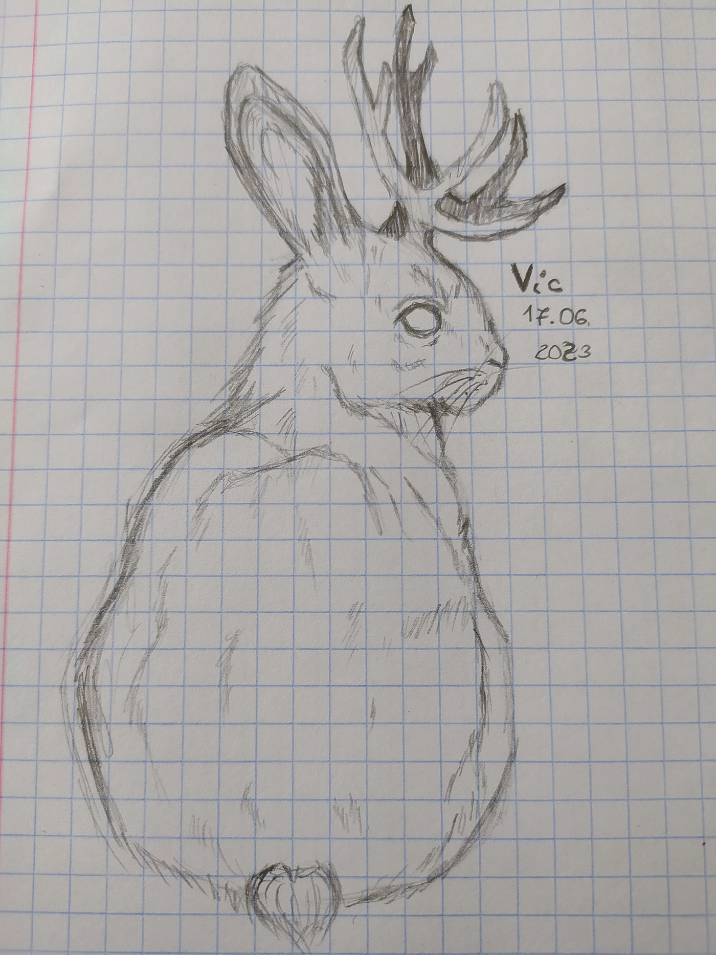 sketch artwork jackalope fantasy antlers animal Folklore mythology cute hare
