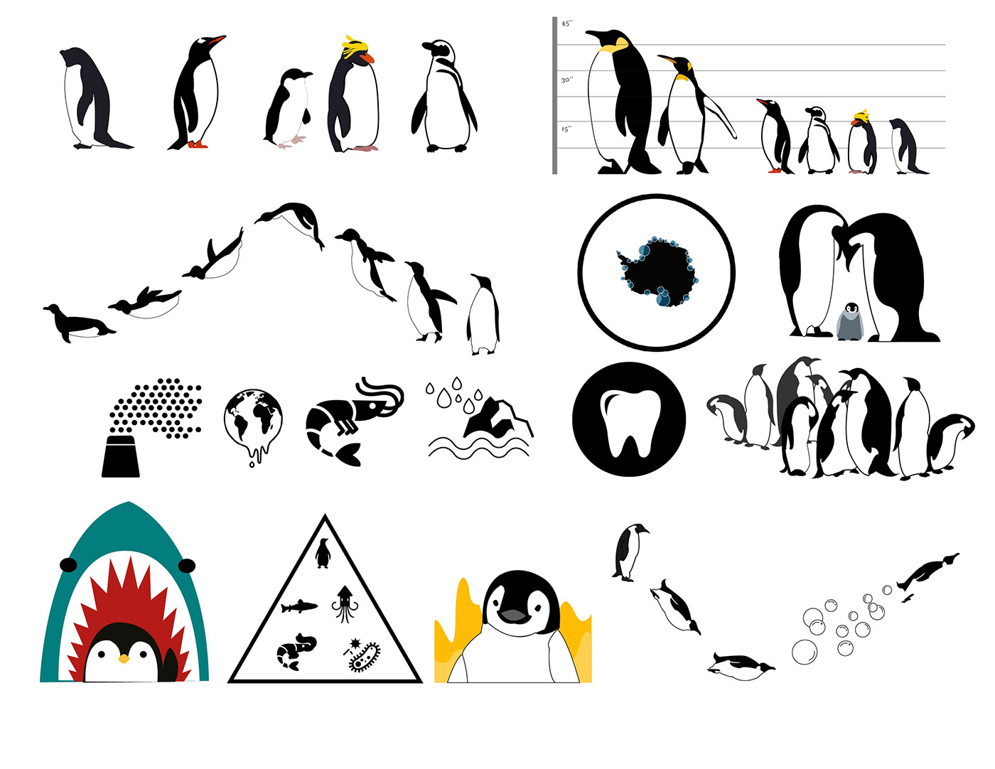 infographic penguins animals endangered animals graphic design  infographic book book design editorial design 