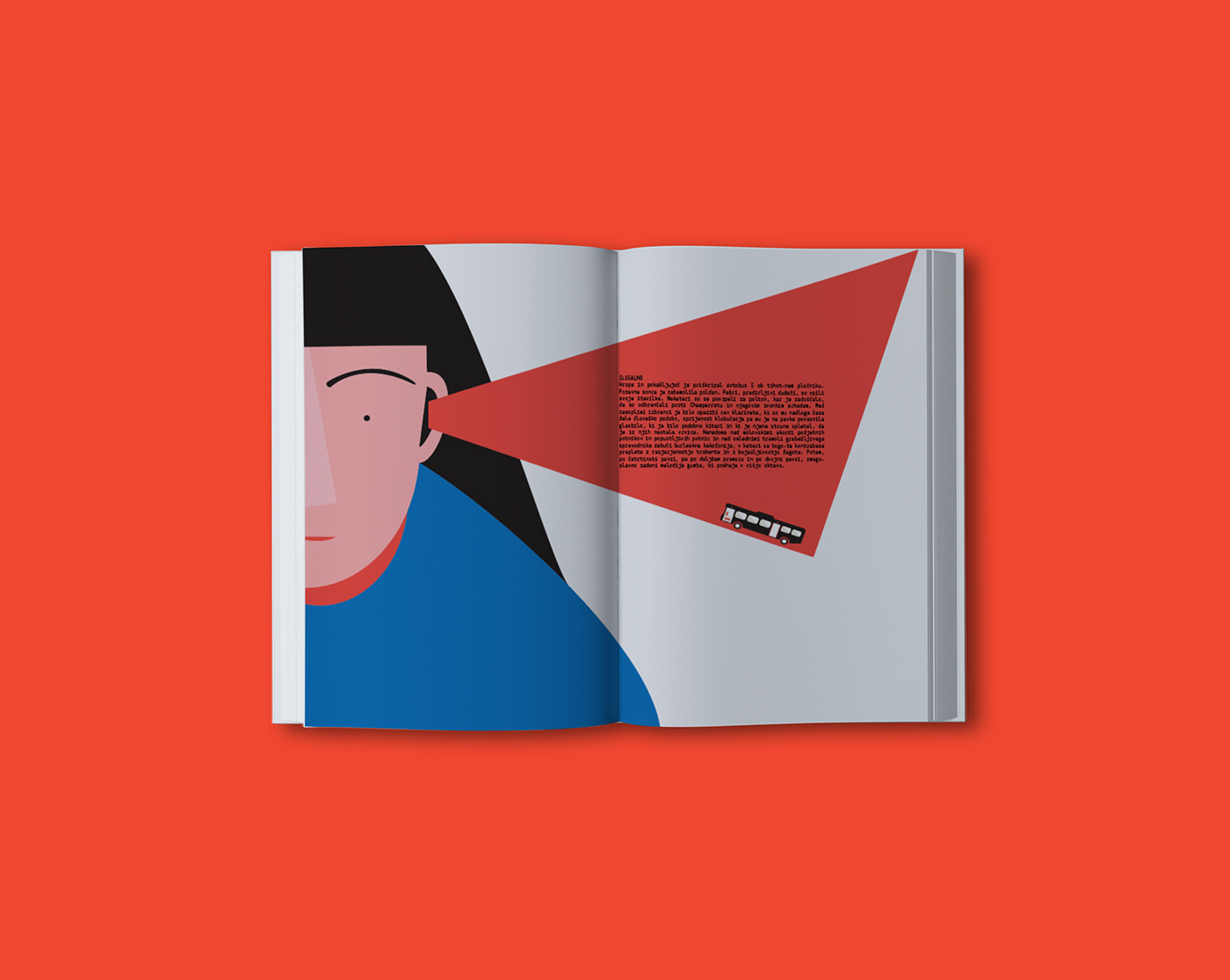 book Bookdesign ILLUSTRATION  red house raymond queneau graphic design 