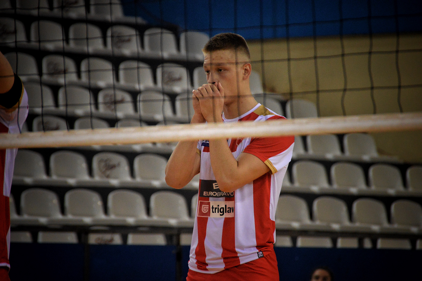 belgrade crvena zvezda eurovolley pallavolo redstar Serbia sports volley volleyball