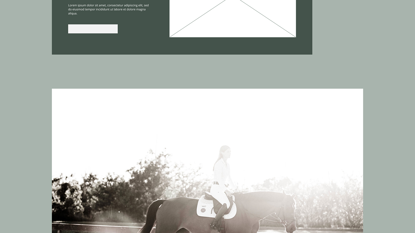 design Ecommerce equestrian Figma horse ui design UI/UX ux Web Design  Website