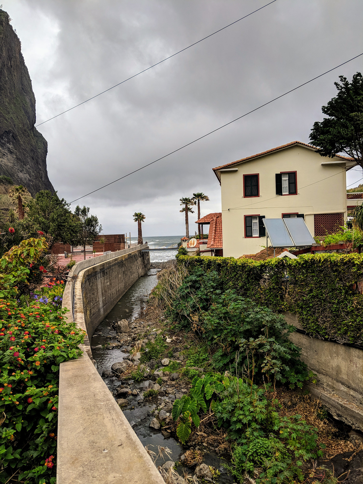 Madeira blumen Landschaft straßen