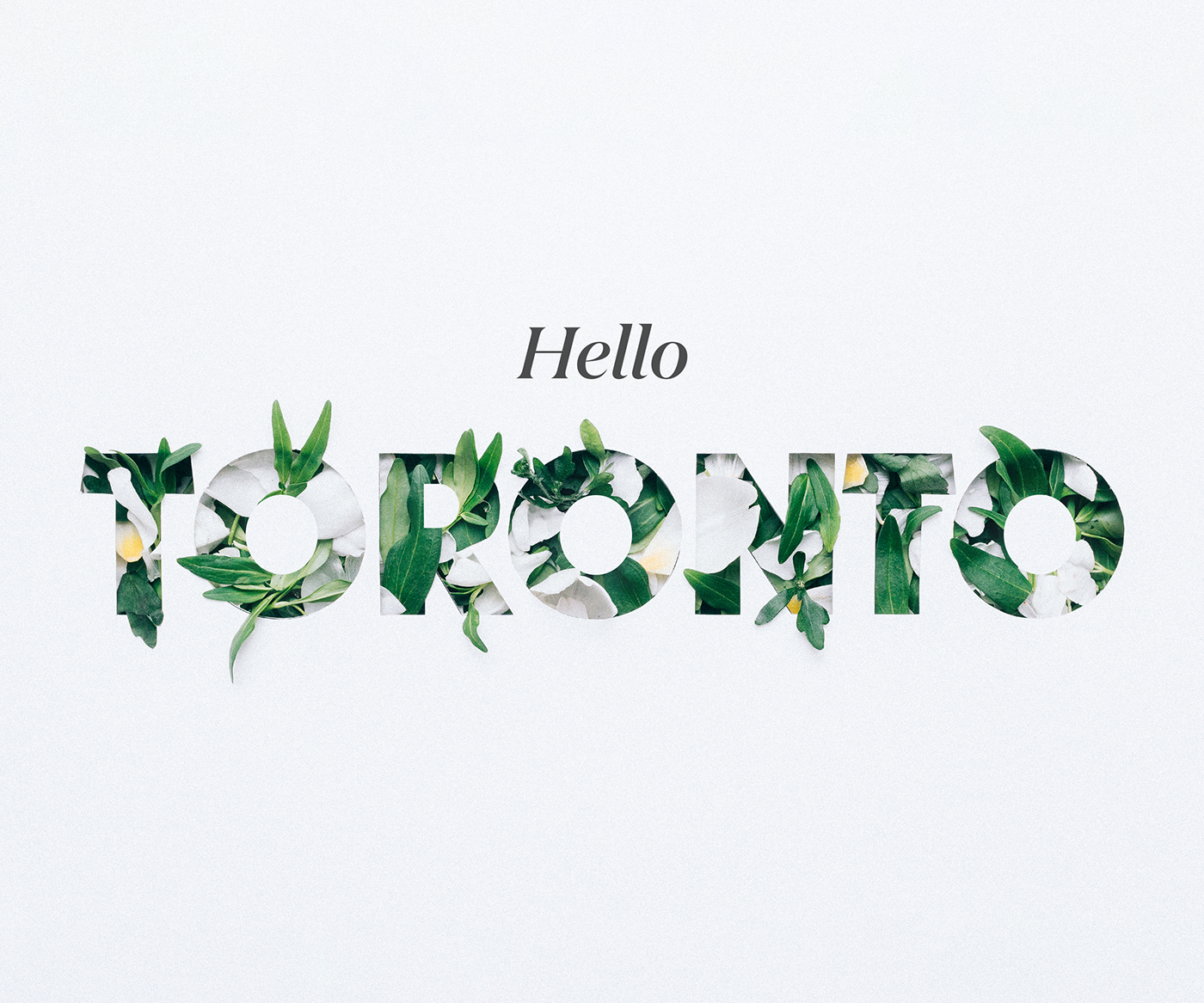 craft Flora hand-type Photography  typography   graphic design  Toronto Icon Flowers Canada