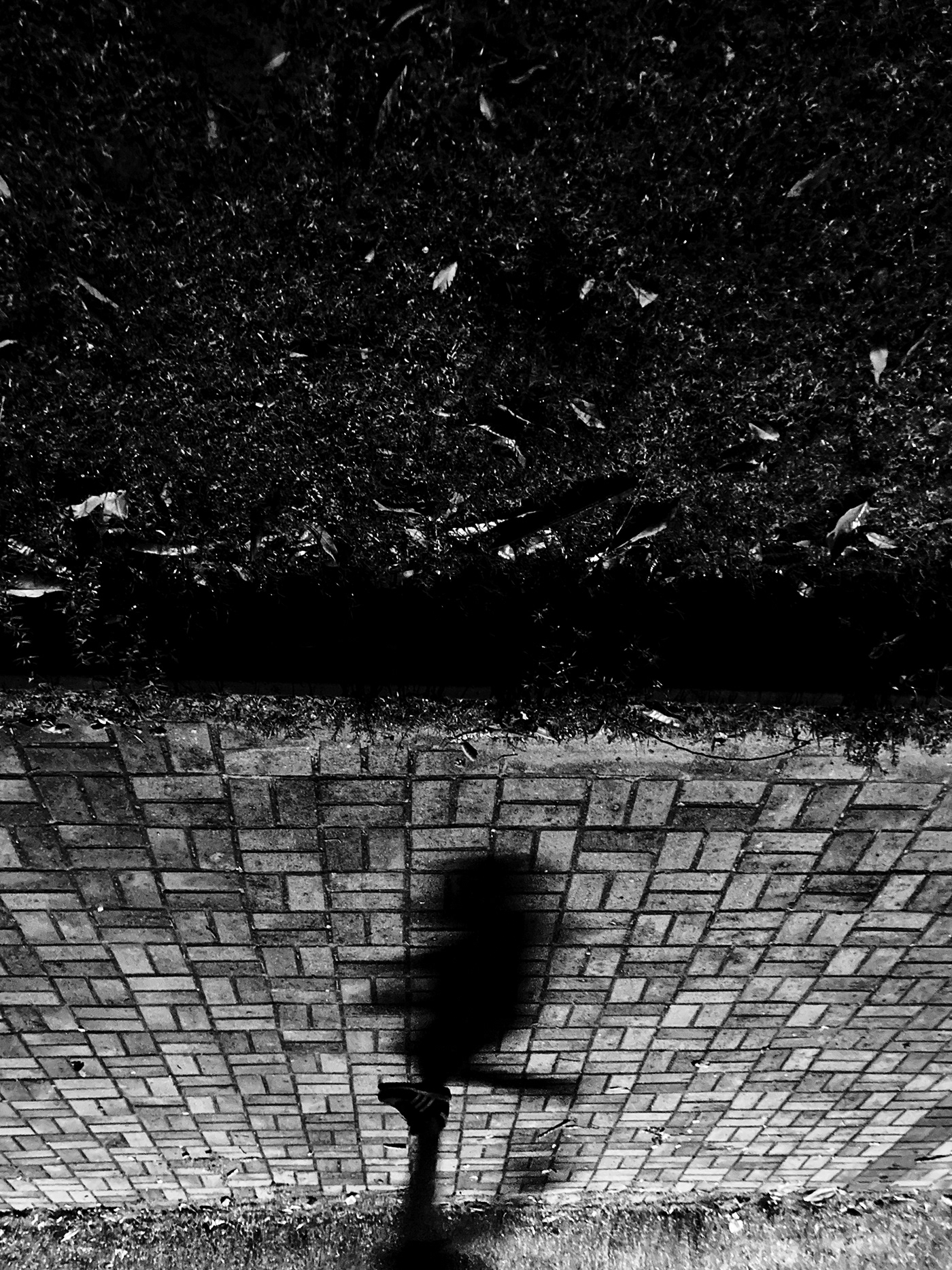 blackandwhite Brasil Brazil Fotografia pretoebranco rua silhueta Silhuetas sombra sombras