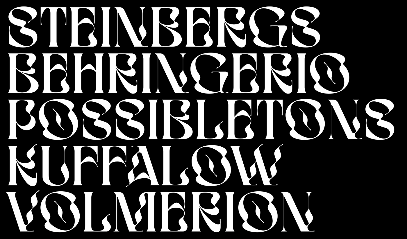 brand identity display font font Logo Design Logotype serif text type design Typeface typography  