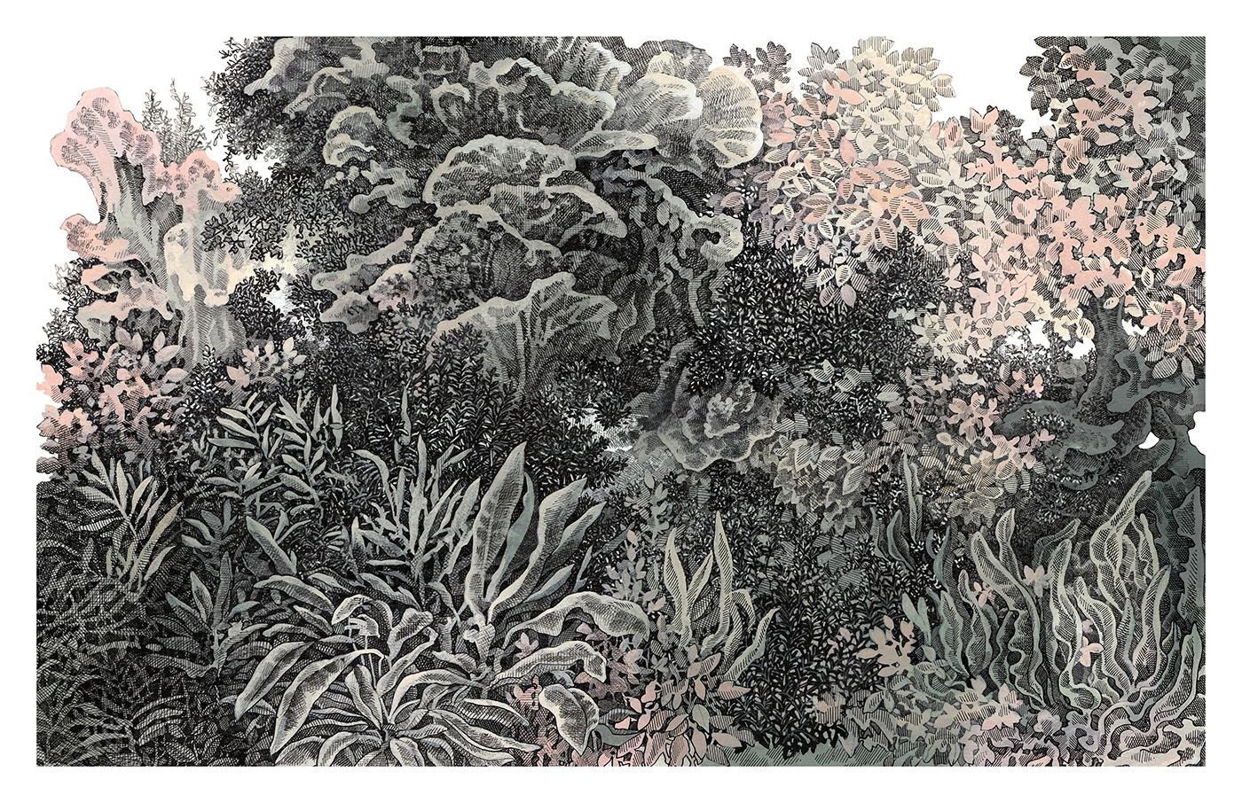 underwater coral CoralReef pen and ink ink crowquill forest sea