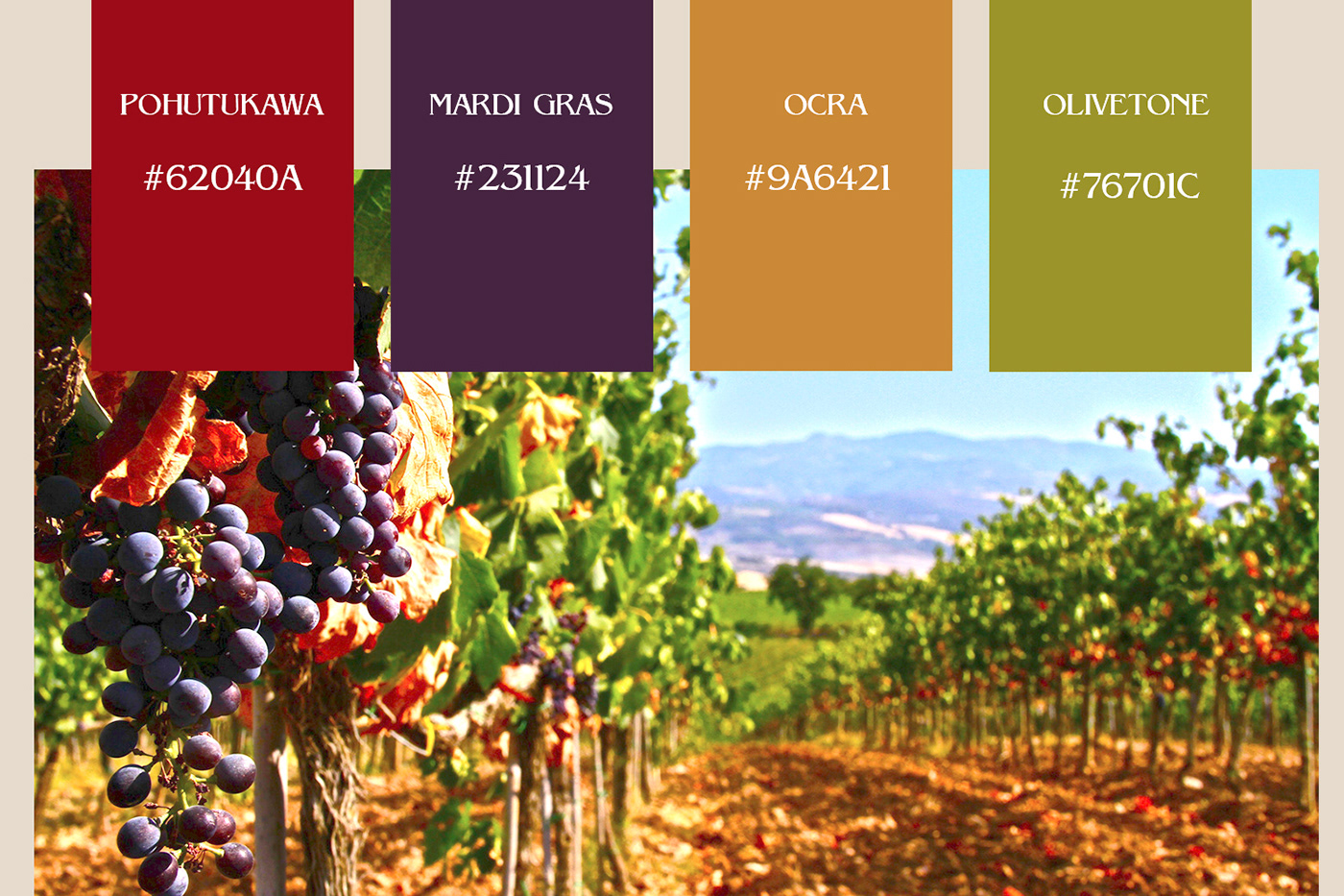 branding  business card label design logo Logo Design vino visual identity wine logo winery