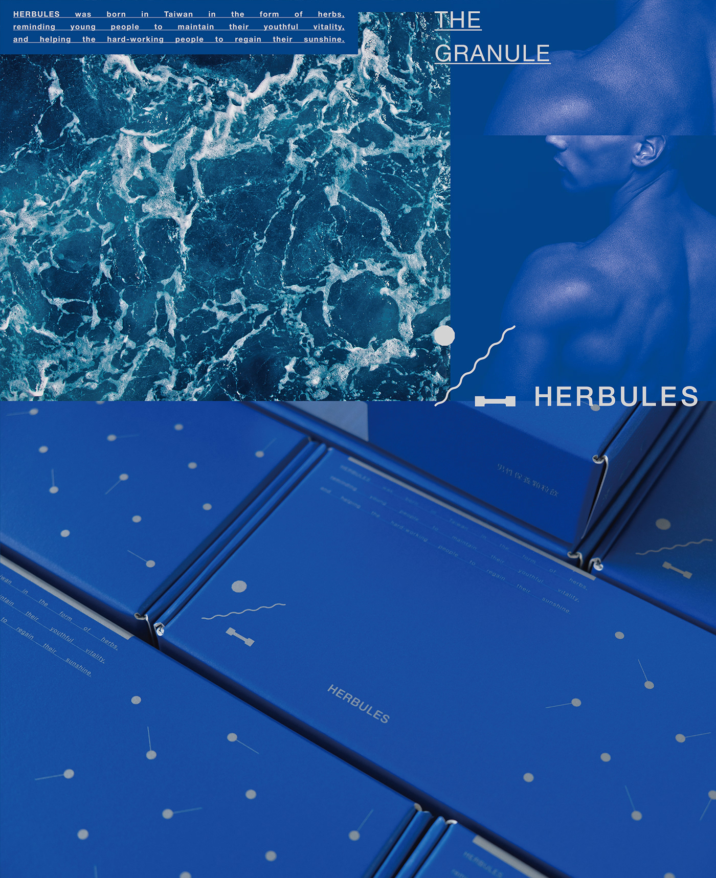 blue branding  graphicdesign Herb herbules hercules logodesign Packaging 包裝設計 品牌設計