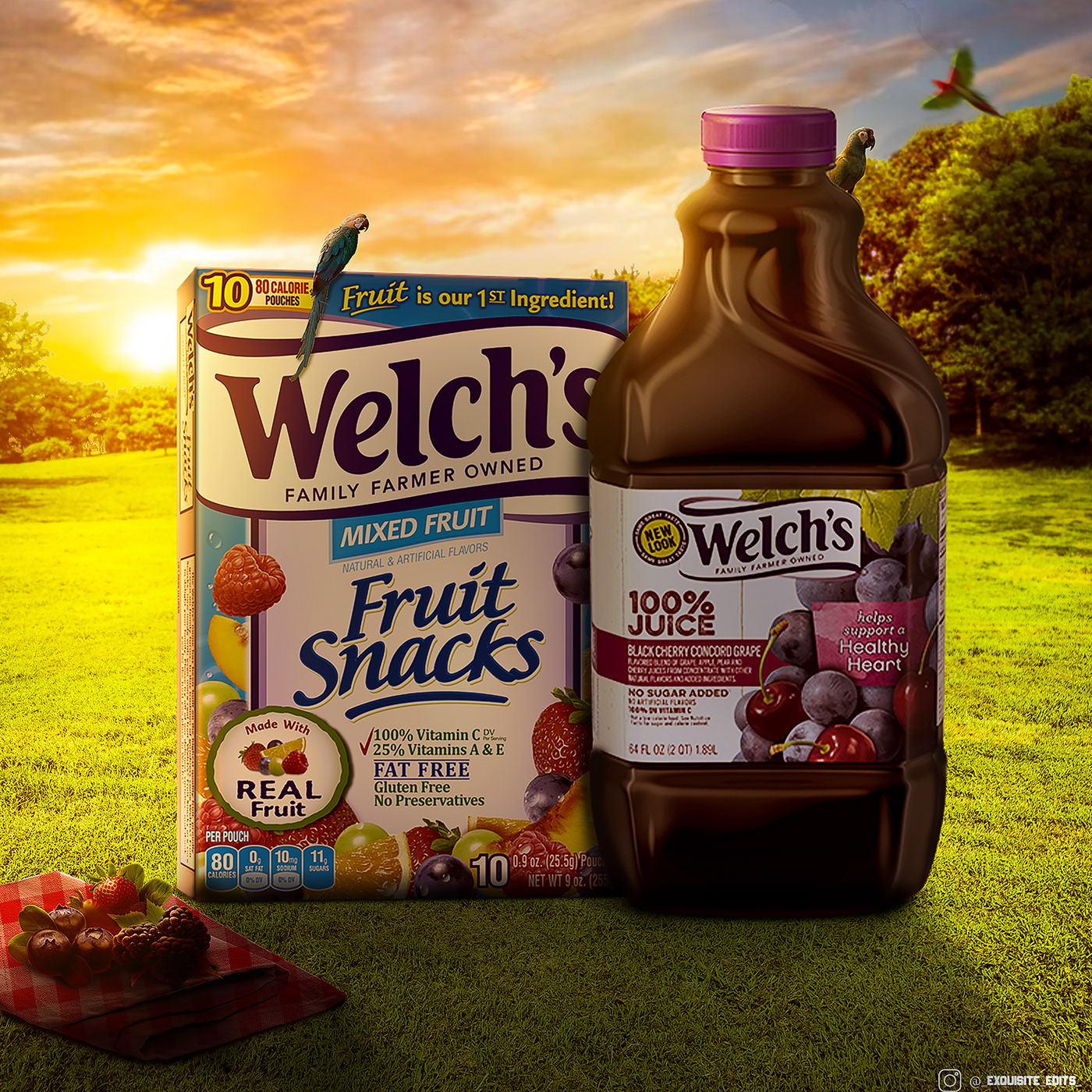 welch's marketing   fruit snacks Fruit Advertising  ads graphic design  Creative Design welchs