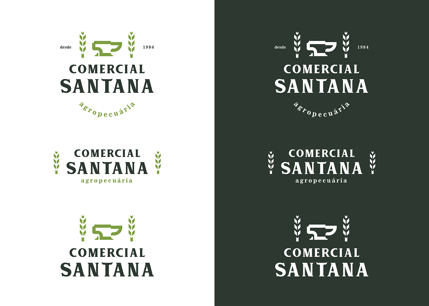 logo branding  identity graphicdesign Logotype comercial agropecuária pecuária