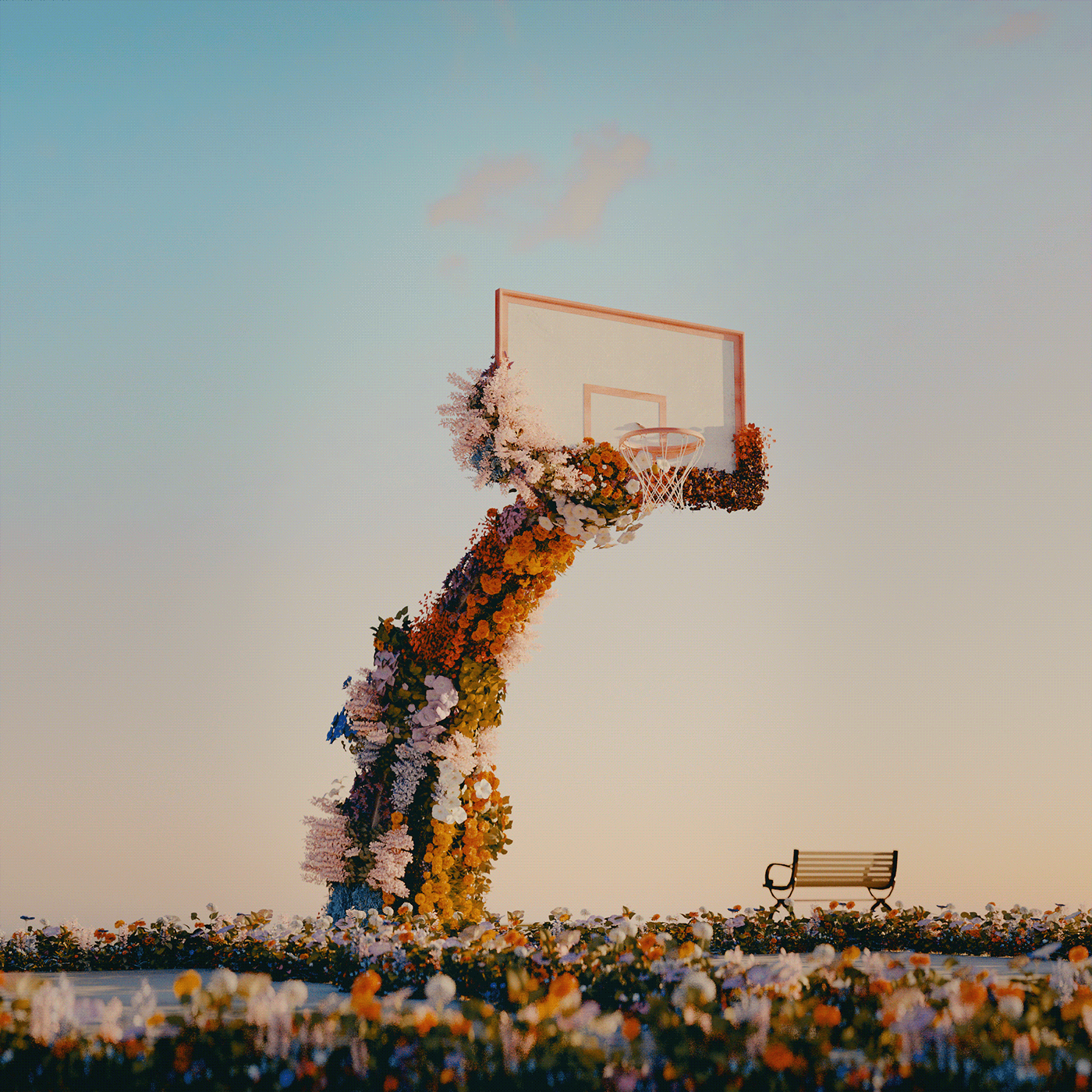 animation  automotive   basketball Classical floral Flowers grif nft Skating sports