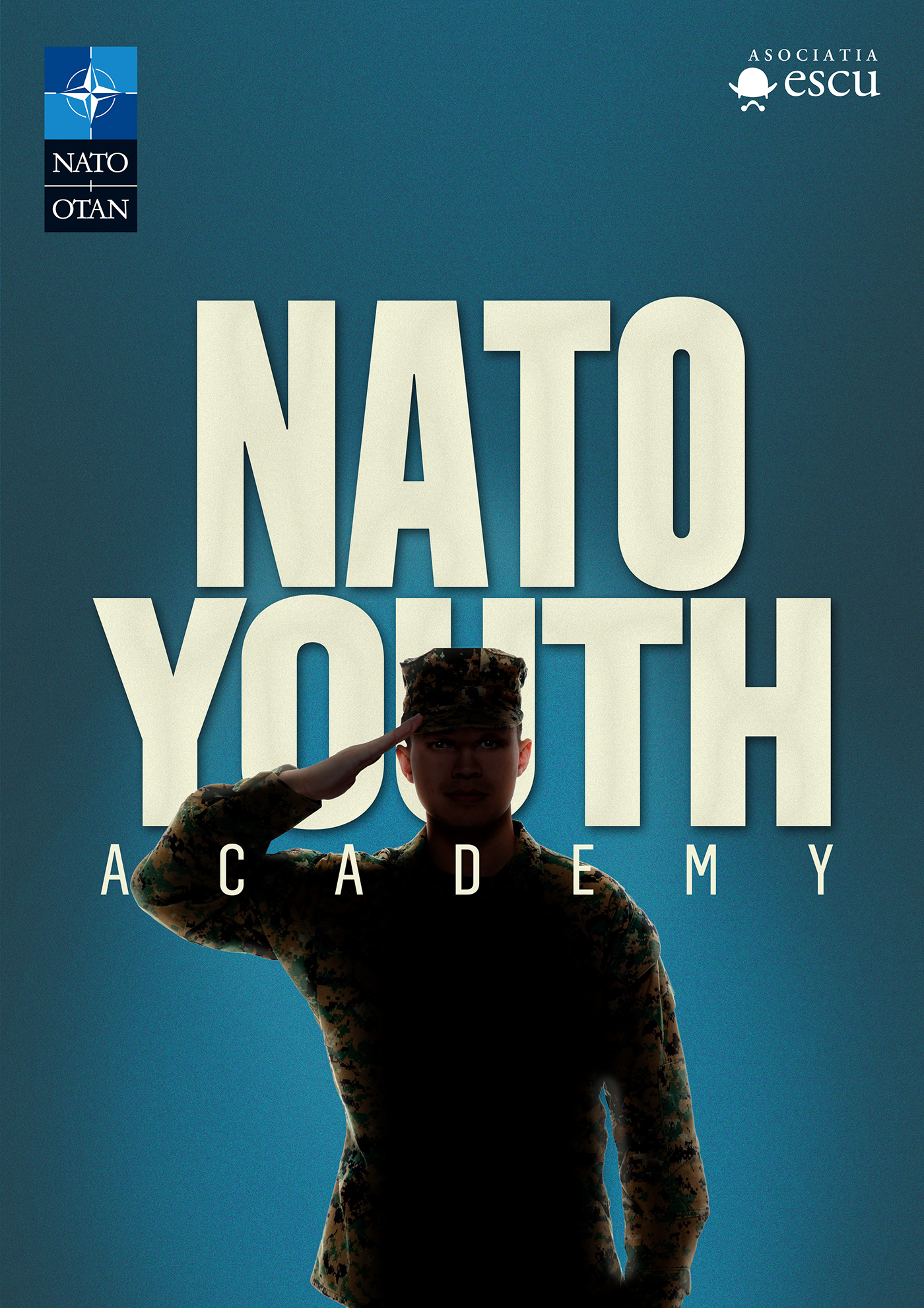 army art direction  graphic design  key visual NATO photoshop poster Project romania soldier