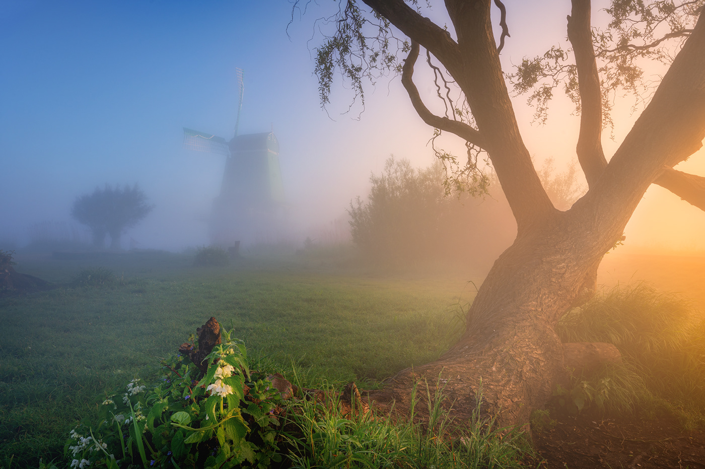 dutch windmill zaanse schans amsterdam The Netherlands fog